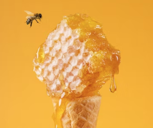 介绍一个 RISCV 反汇编项目